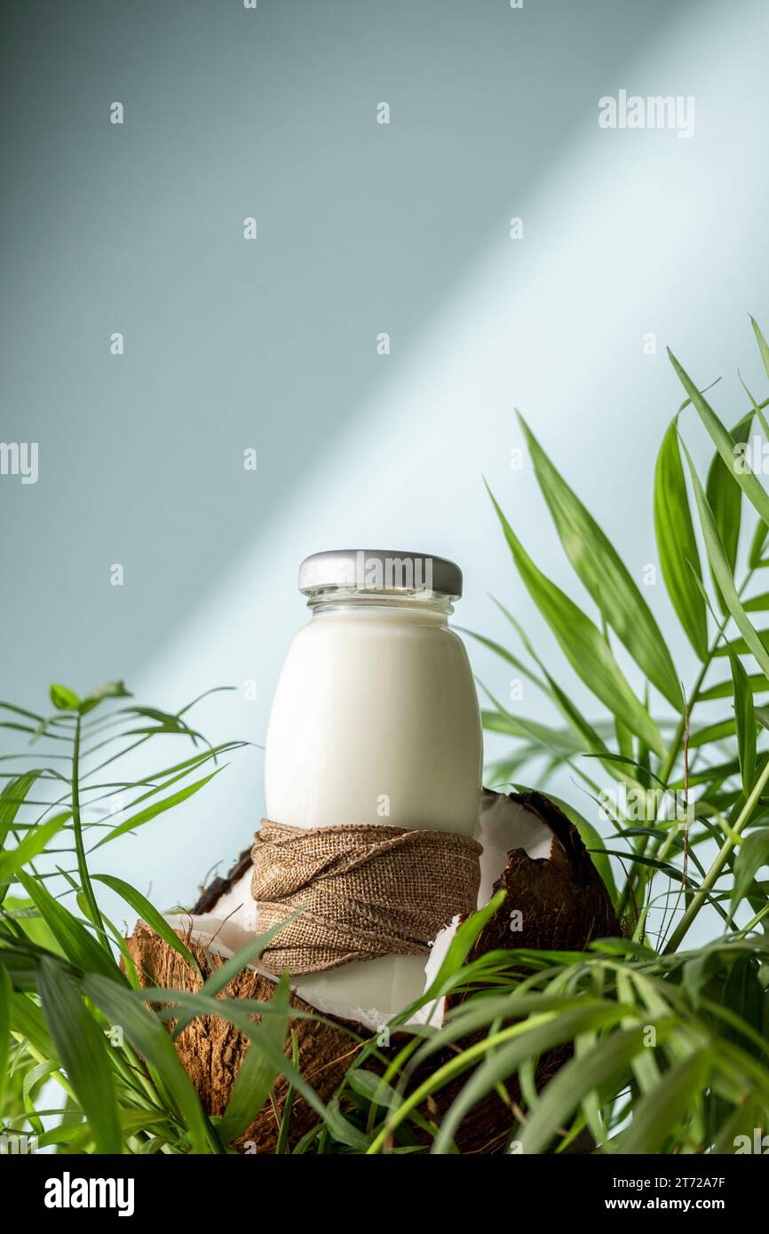 Latte di cocco, prodotto privo di lattosio, ingrediente alimentare sano Foto Stock