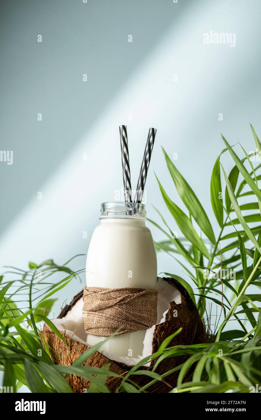Latte di cocco, prodotto privo di lattosio, ingrediente alimentare sano Foto Stock