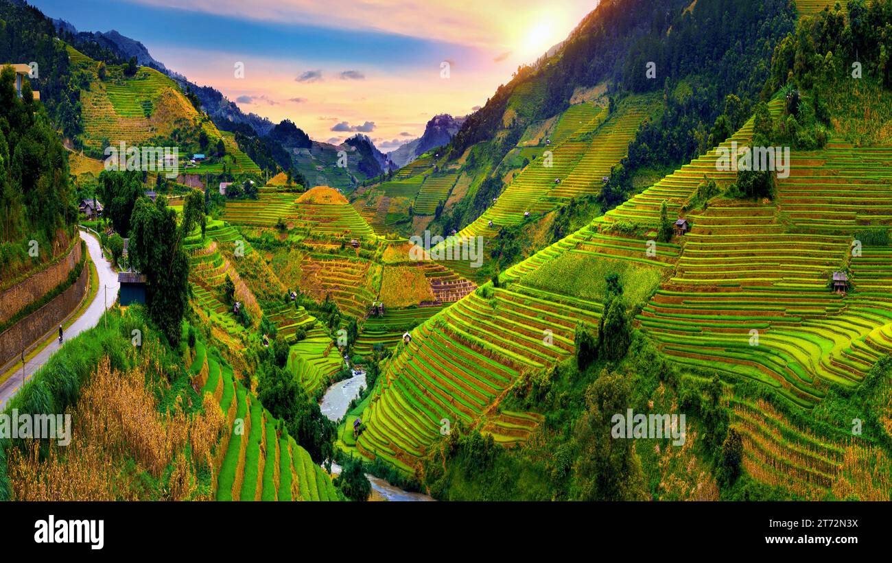 Splendide terrazze di riso presso il punto panoramico di Mu cang chai, Vietnam. Foto Stock