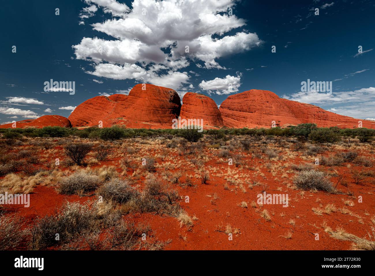 Famose cupole di Kata Tjuṯa nel deserto rosso dell'Australia centrale. Foto Stock