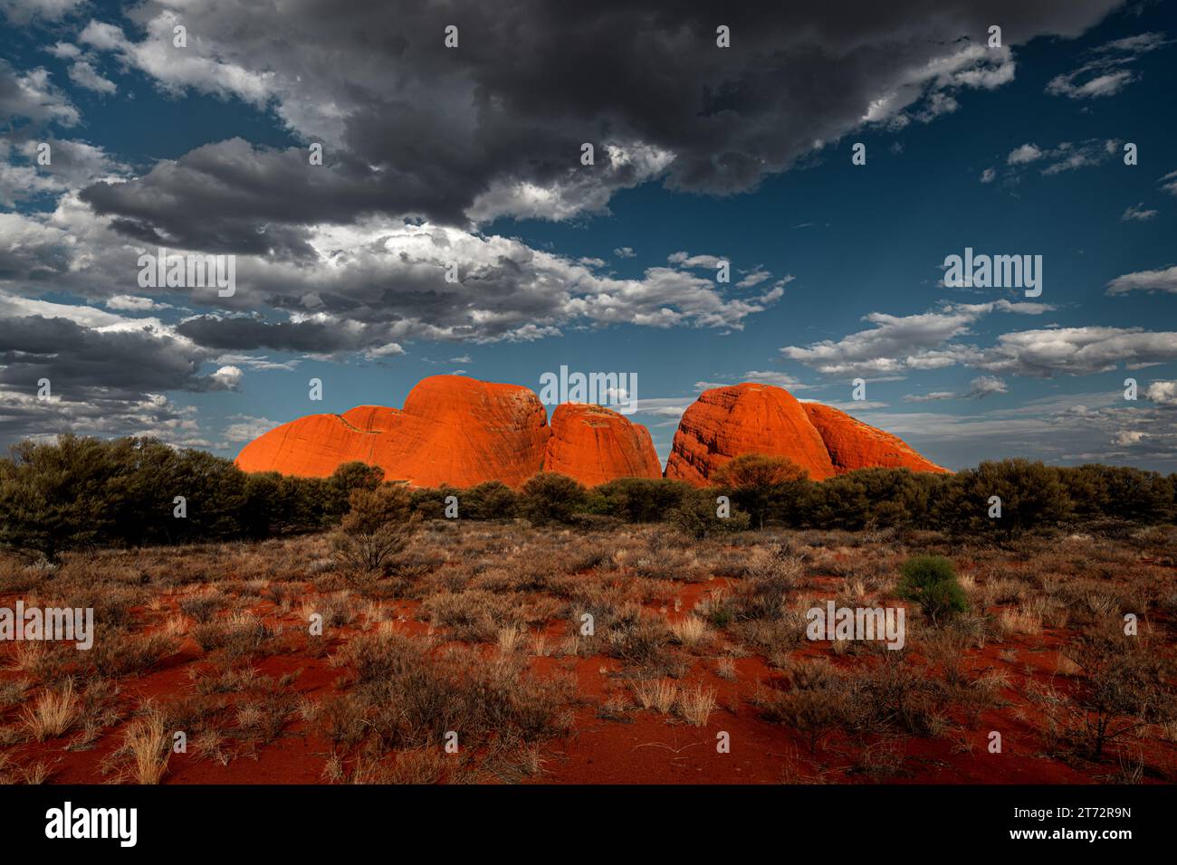 Famose cupole di Kata Tjuṯa nel deserto rosso dell'Australia centrale. Foto Stock