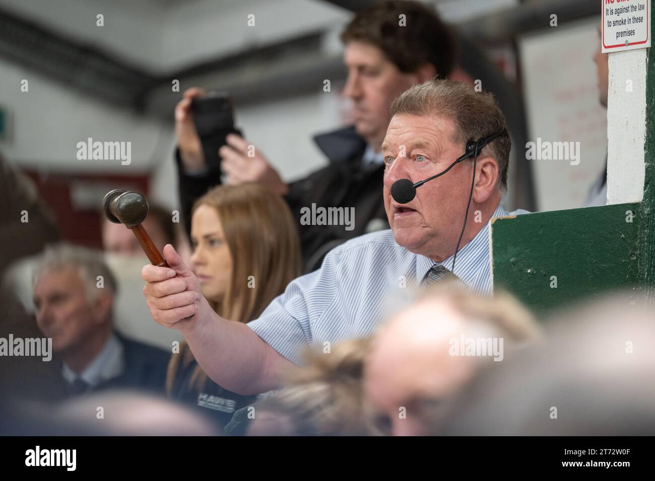 Gli agricoltori che vendevano arieti e la vendita di Leicester a The Blue Faced presso la Hawes Auction mart nel North Yorkshire, Regno Unito. Foto Stock