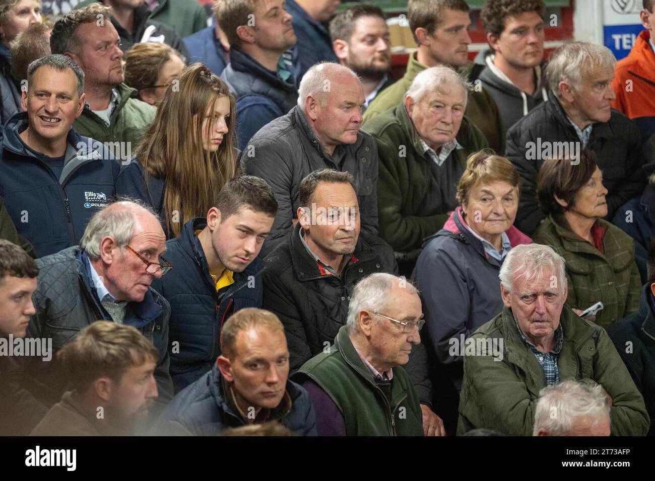 Gli agricoltori che vendevano arieti e la vendita di Leicester a The Blue Faced presso la Hawes Auction mart nel North Yorkshire, Regno Unito. Foto Stock