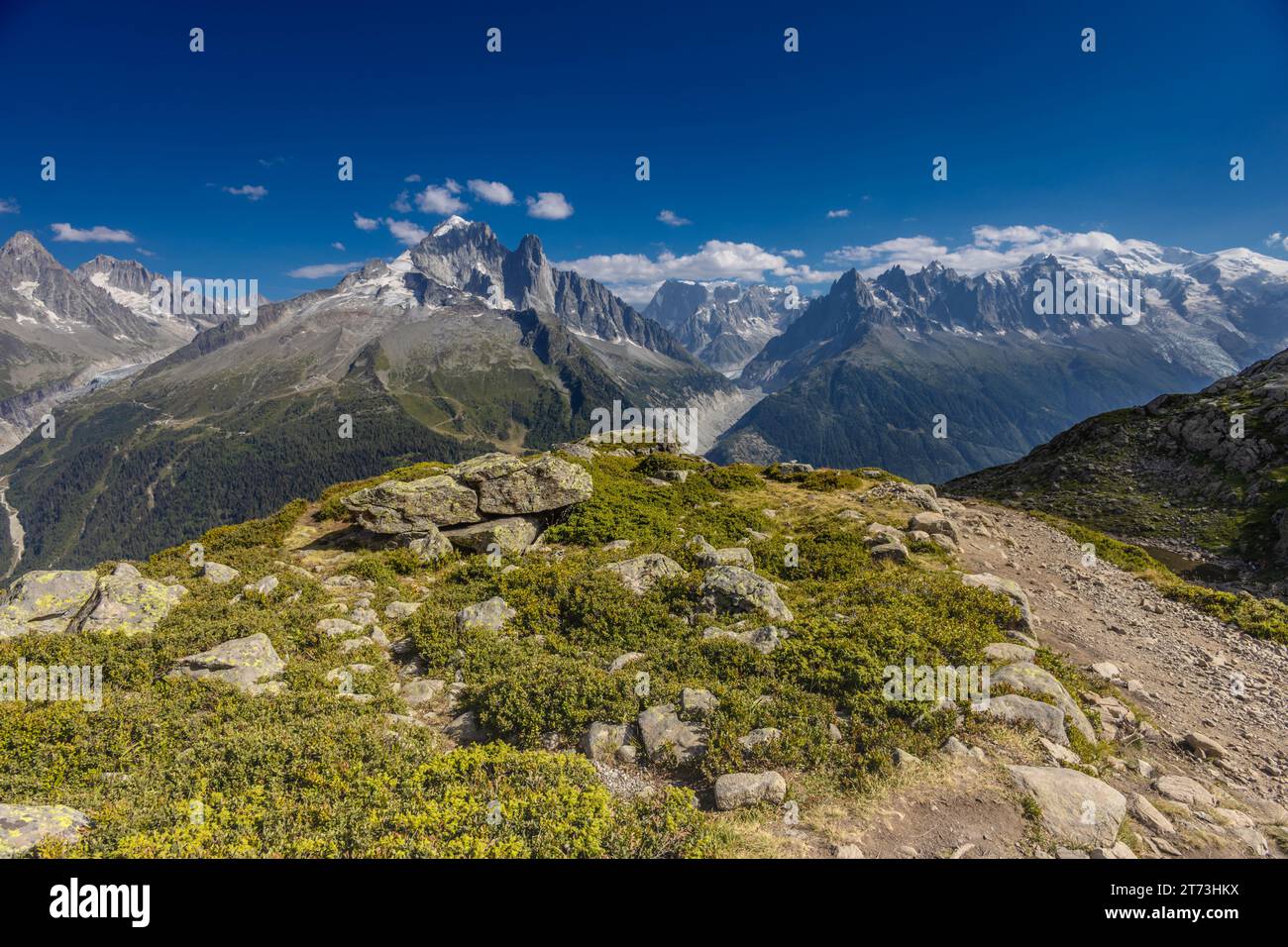 Petit Dru e Aiguille du Dru o Les Drus, Les Droites, Grandes Jorasses, maestose pareti e vette della valle di Chamonix, Alpi francesi Foto Stock