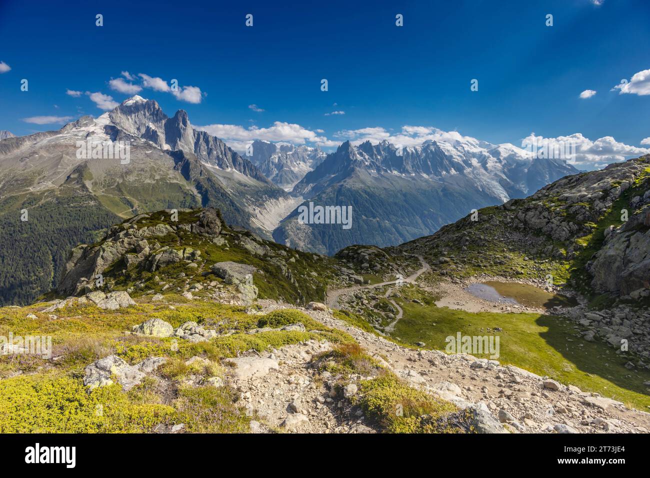 Petit Dru e Aiguille du Dru o Les Drus, Les Droites, Grandes Jorasses, maestose pareti e vette della valle di Chamonix, Alpi francesi Foto Stock
