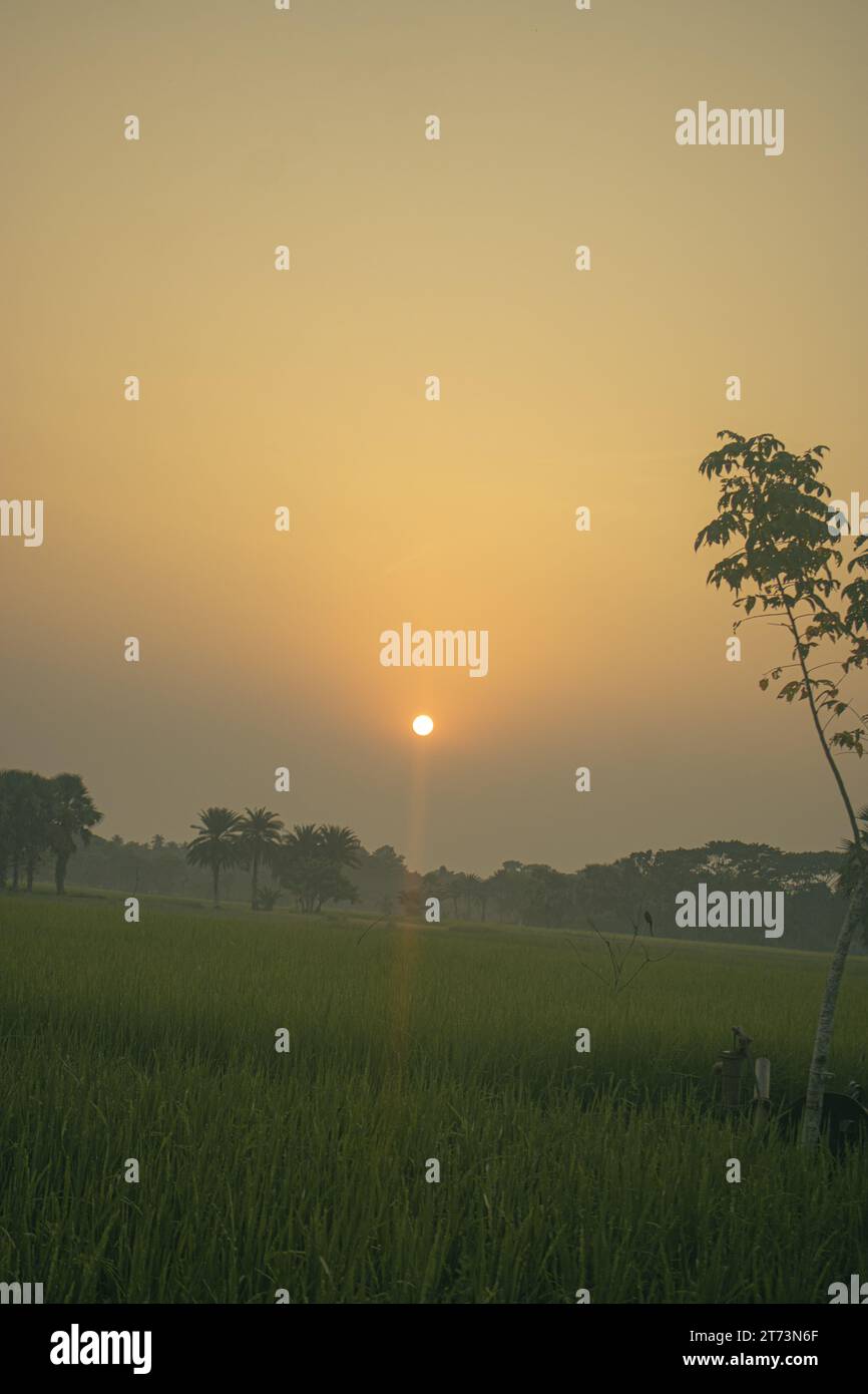 Tramonto vibes Foto Stock