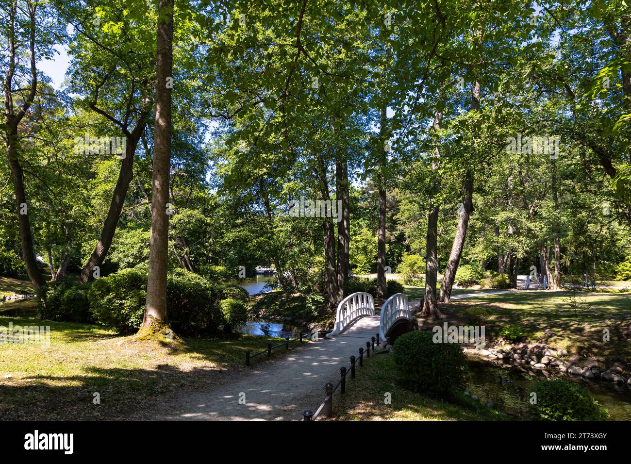 Un piccolo ponte romantico in un parco cittadino in legno, dipinto di bianco. Parcheggia in piena luce naturale, in una soleggiata giornata estiva. Foto Stock