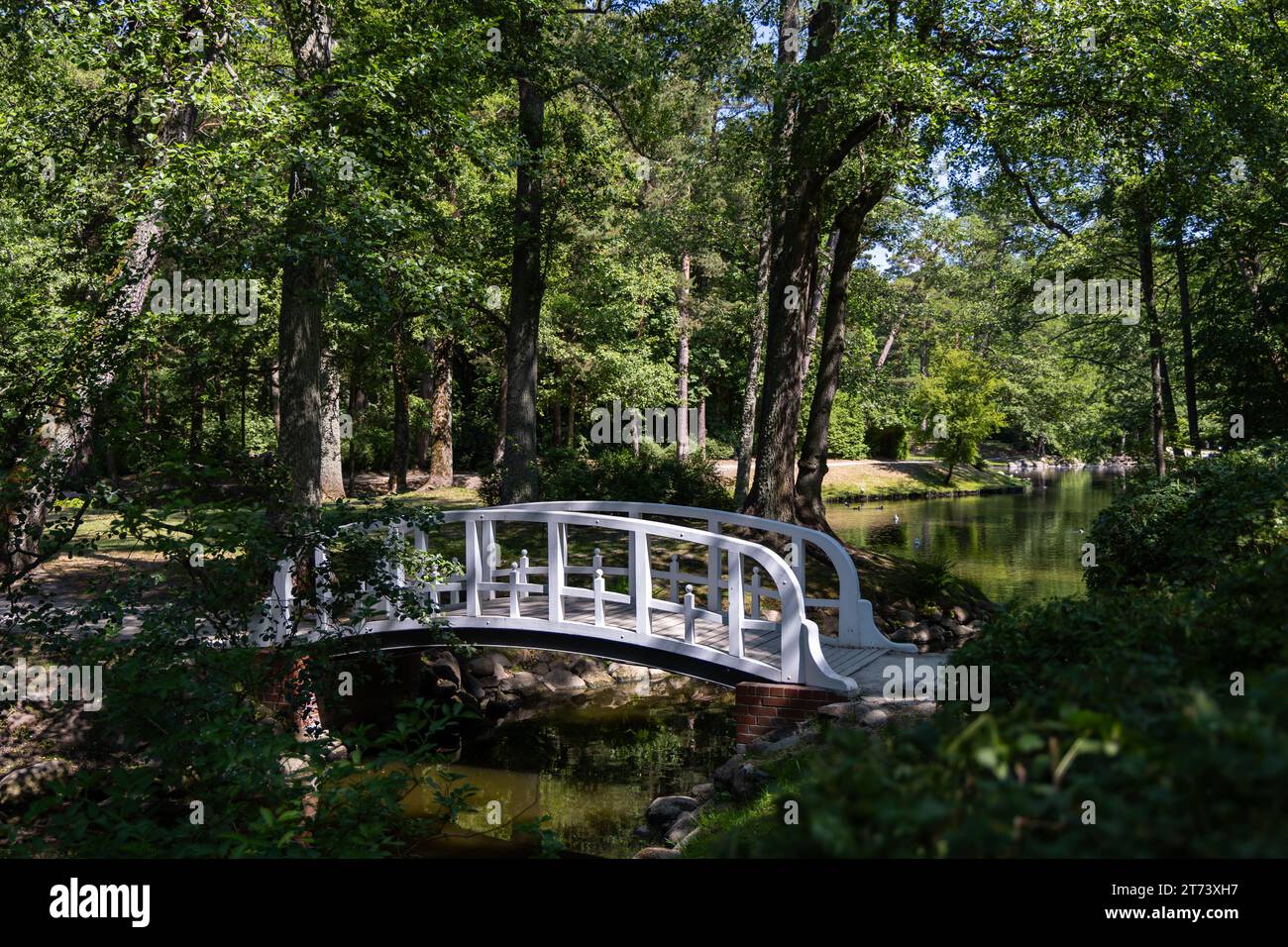 Un piccolo ponte romantico in un parco cittadino in legno, dipinto di bianco. Parcheggia in piena luce naturale, in una soleggiata giornata estiva. Foto Stock