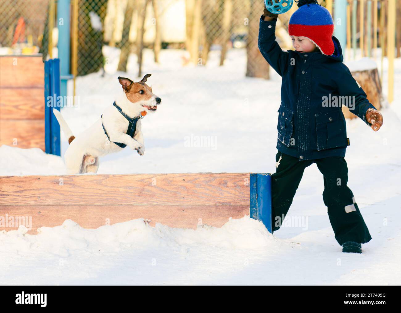 Come addestrare un cane a saltare un ostacolo Foto Stock