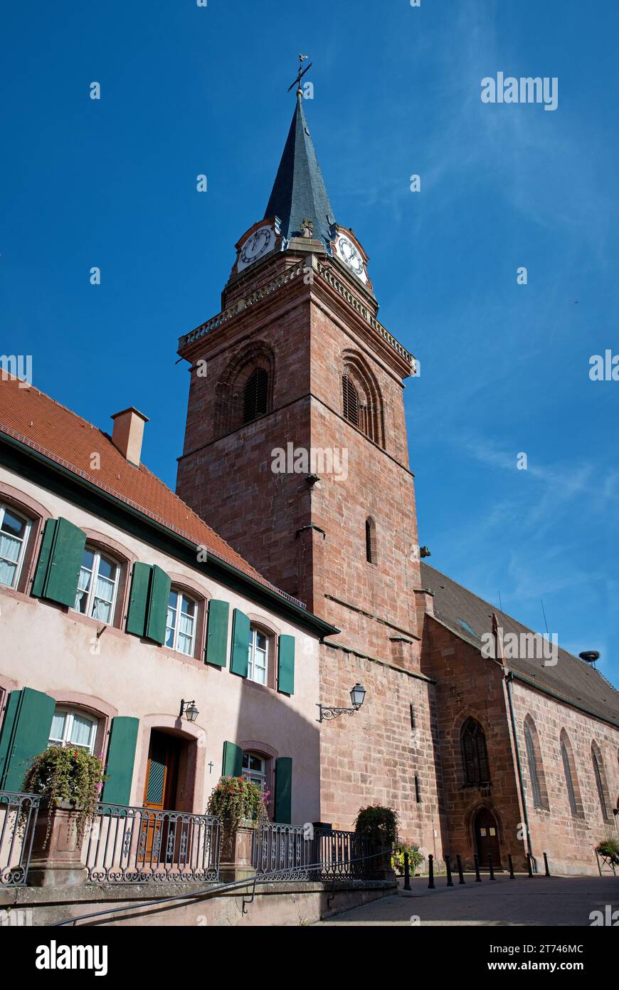 Bergheim, Chiesa dell'assunzione di fronte a un cielo blu Foto Stock