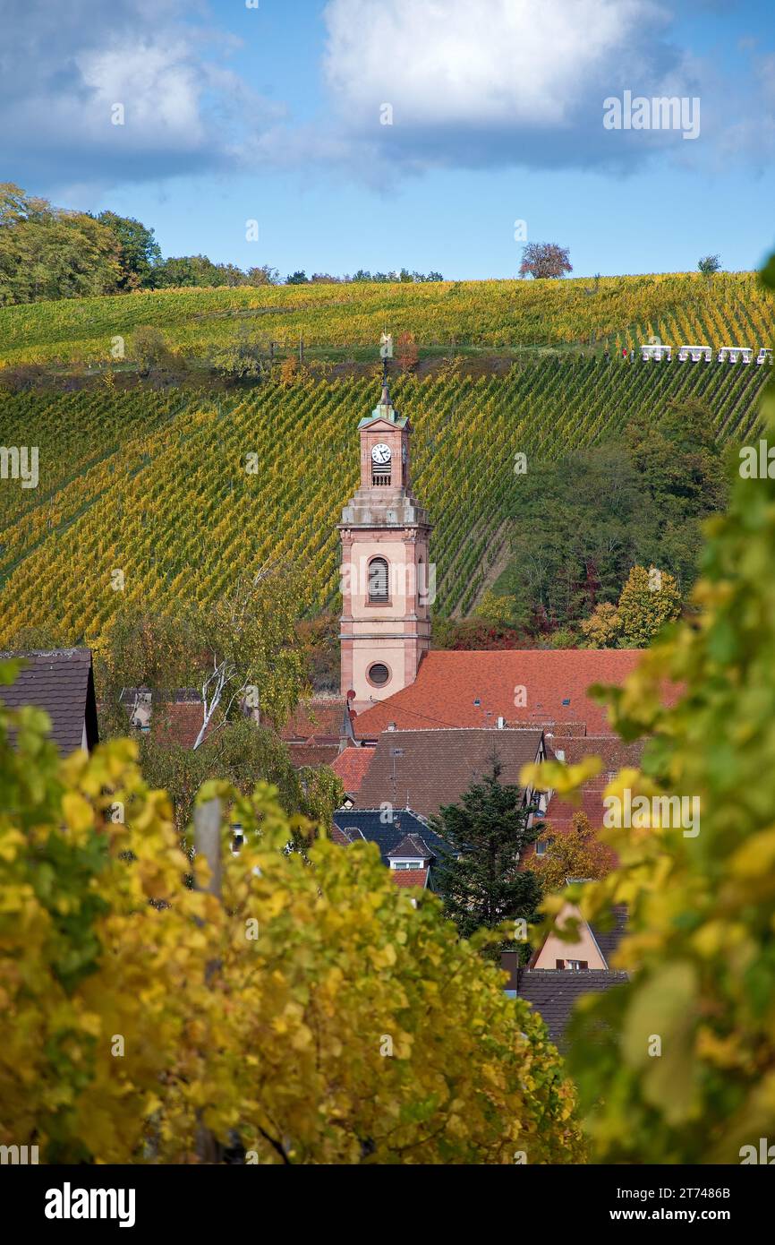 Villaggio del vino Riquewihr, alsazia, in vigneti autunnali Foto Stock