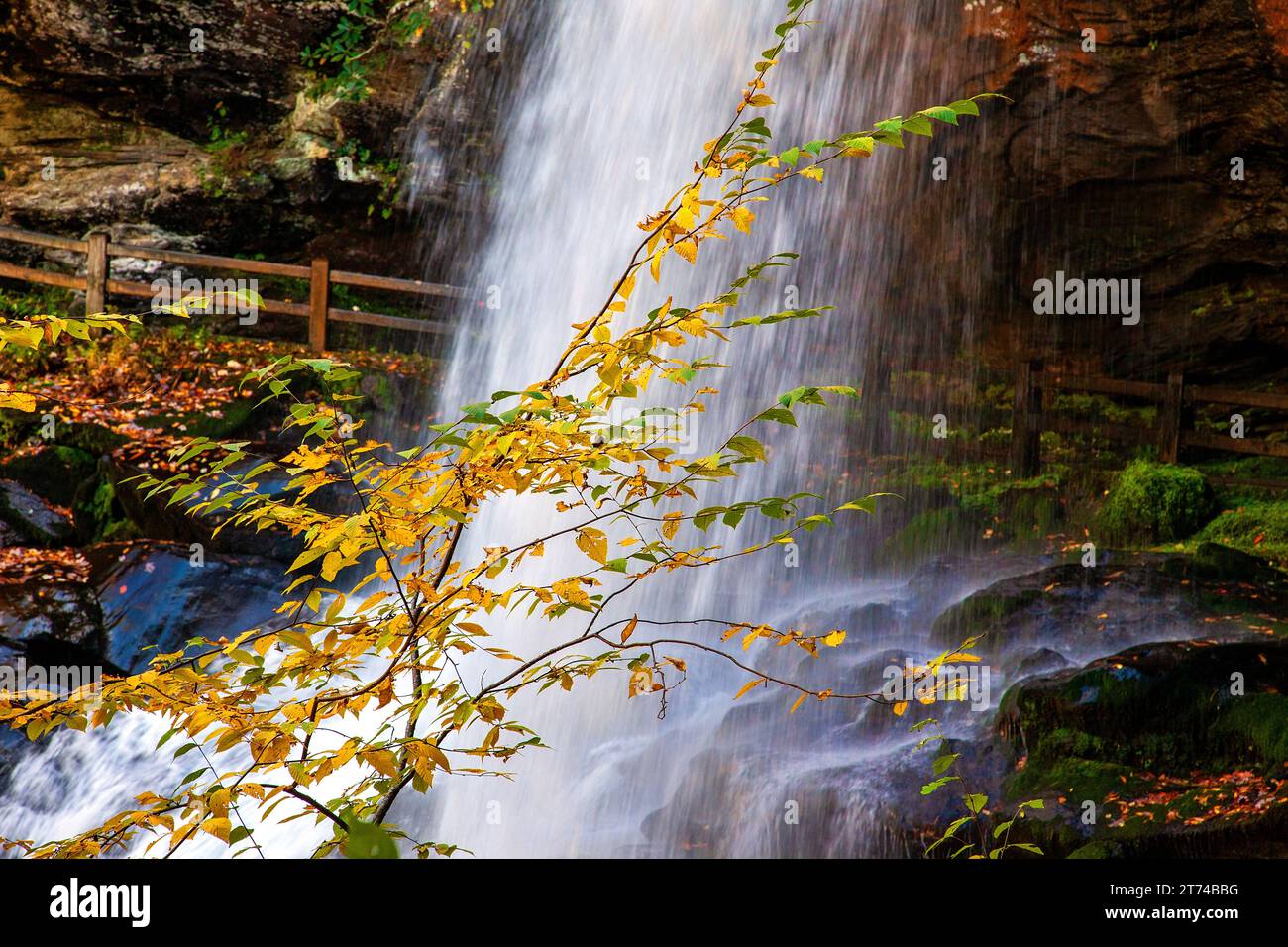 Dry Falls, nota anche come Upper Cullasaja Falls, è una cascata di 65 metri situata nella Nantahala National Forest, a nord-ovest di Highlands, North Carolina Foto Stock