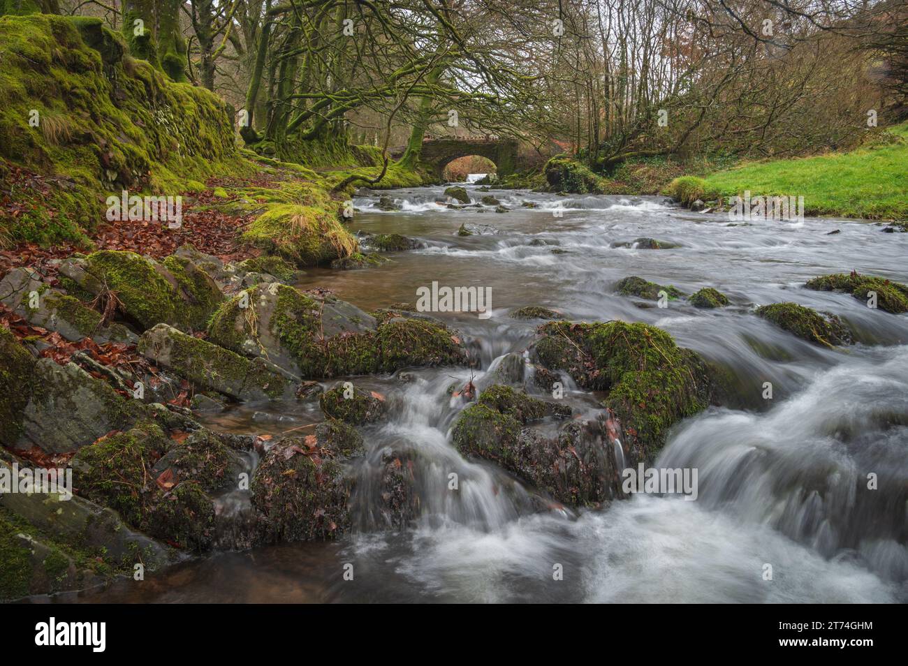 Veduta del fiume che scorre velocemente a Robbers Bridge, Hookway Hill, Porlock, Somerset, Inghilterra, Regno Unito, parte dell'Exmoor National Park. Foto Stock