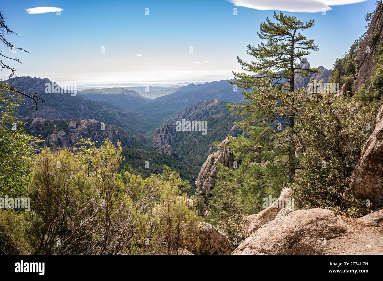 Valle boscosa sulla GR20 tra il col de Bavella e i Paliri, Corsica, Francia Foto Stock