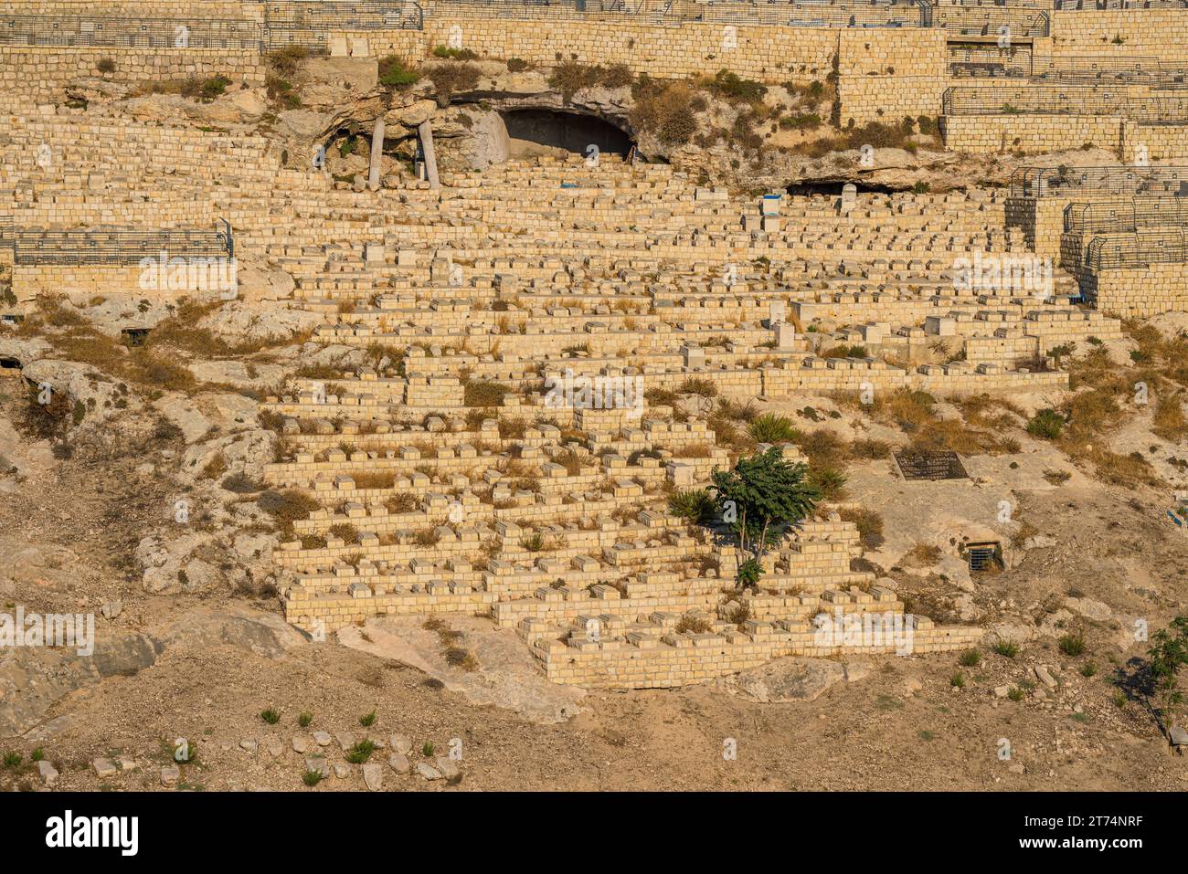 Veduta del Cimitero del Monte degli Ulivi, un antico luogo ebraico di sepoltura a Gerusalemme, Israele Foto Stock