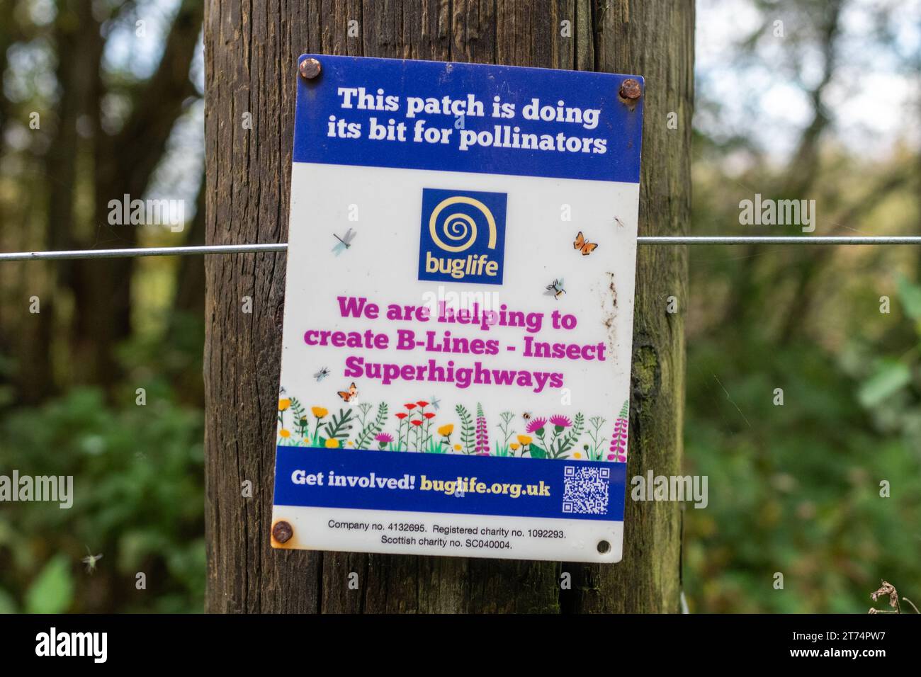 Nota Buglife in campagna che afferma che questa zona sta facendo la sua parte per gli impollinatori, stiamo contribuendo a creare linee B, autostrade per insetti, Inghilterra, Regno Unito Foto Stock