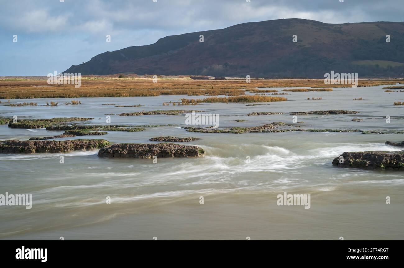 L'acqua di mare che si allaga dalle paludi salate mentre la marea esce a Porlock Marshes, Porlock, Somerset, Inghilterra Regno Unito Foto Stock