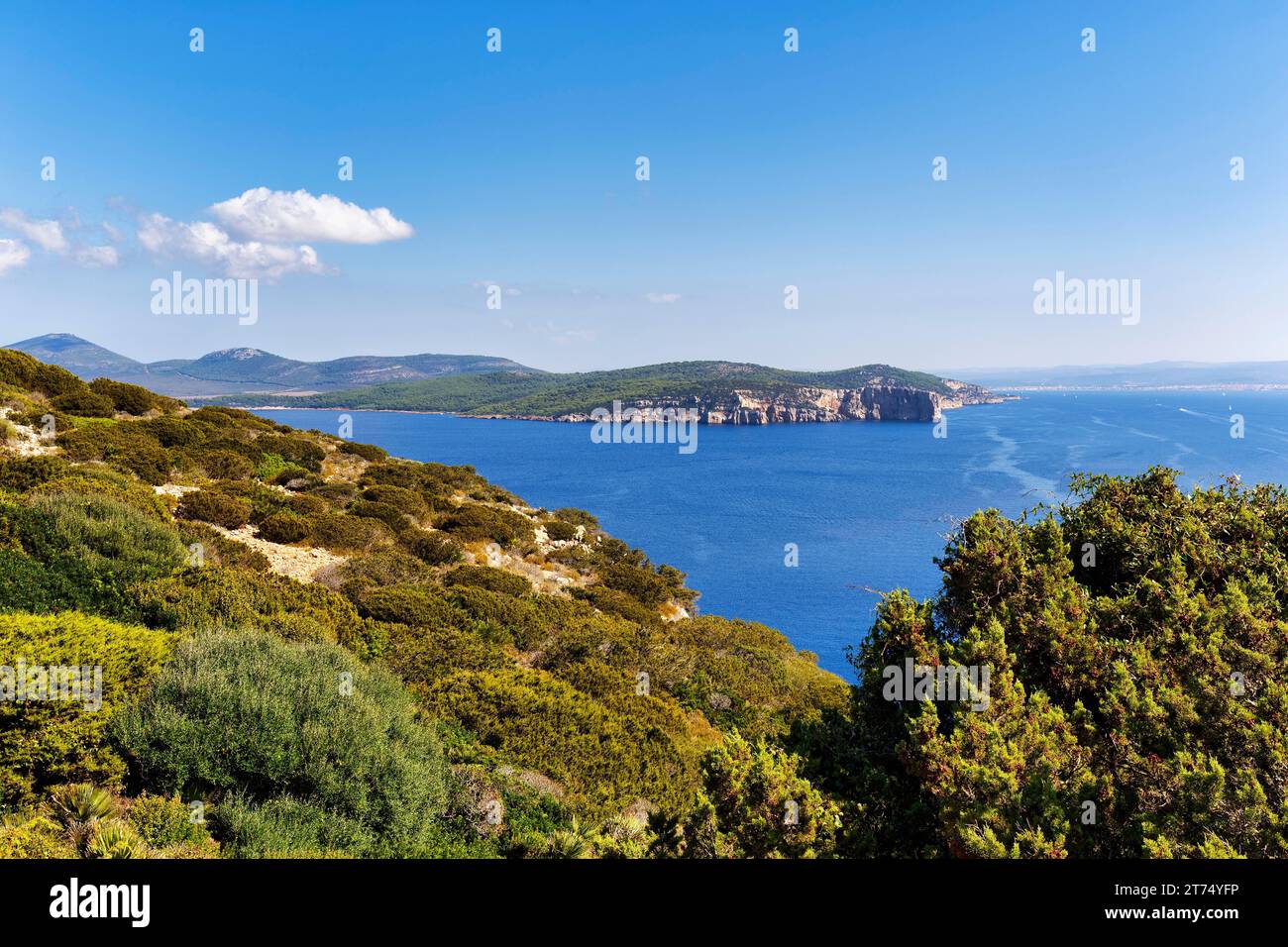 Vista della costa, promontorio di Capo caccia, Parco Nazionale di Porto Conte, Alghero, Sardegna, Mar Mediterraneo, Italia Foto Stock