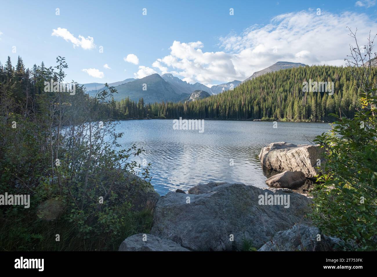 Il sole pomeridiano splende su un lago alpino circondato da alberi sempreverdi e montagne con cielo blu e nuvole bianche. Vista sul lago Bear in RMNP Foto Stock