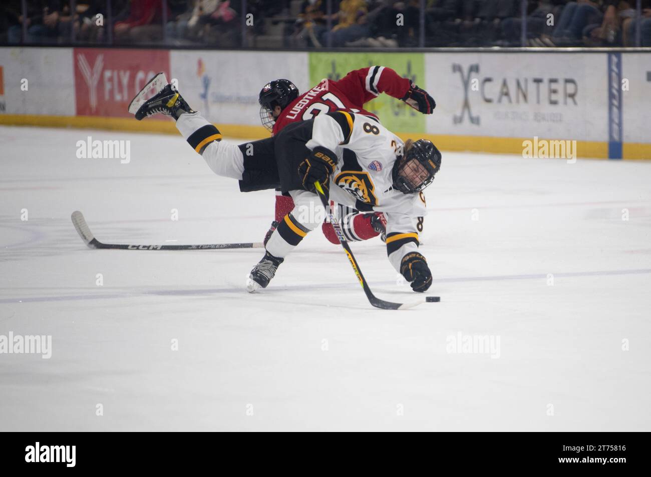 Ryan Beck del Colorado College si scontra con un altro giocatore mentre combatte per il disco durante una partita di hockey al college. Collegiate Hockey negli Stati Uniti Foto Stock