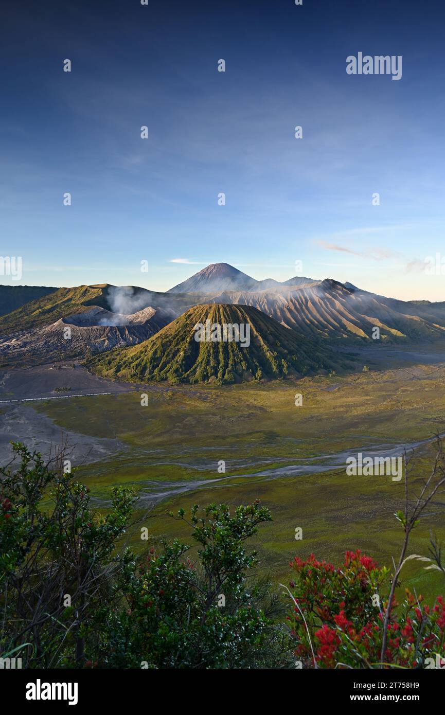 Monte Bromo e Mare di sabbia all'alba. Cemoro Lawang, Giava Orientale, Indonesia Foto Stock