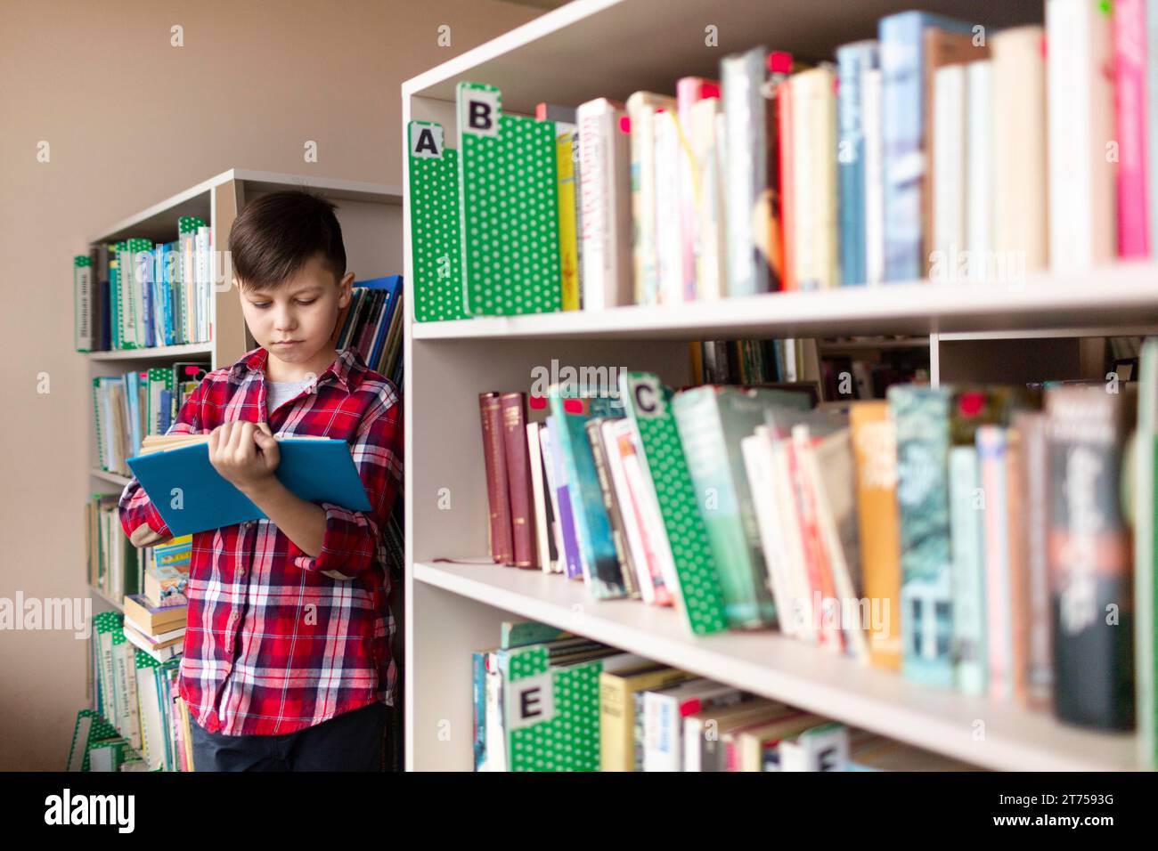 Ragazzo che legge gli scaffali Foto Stock