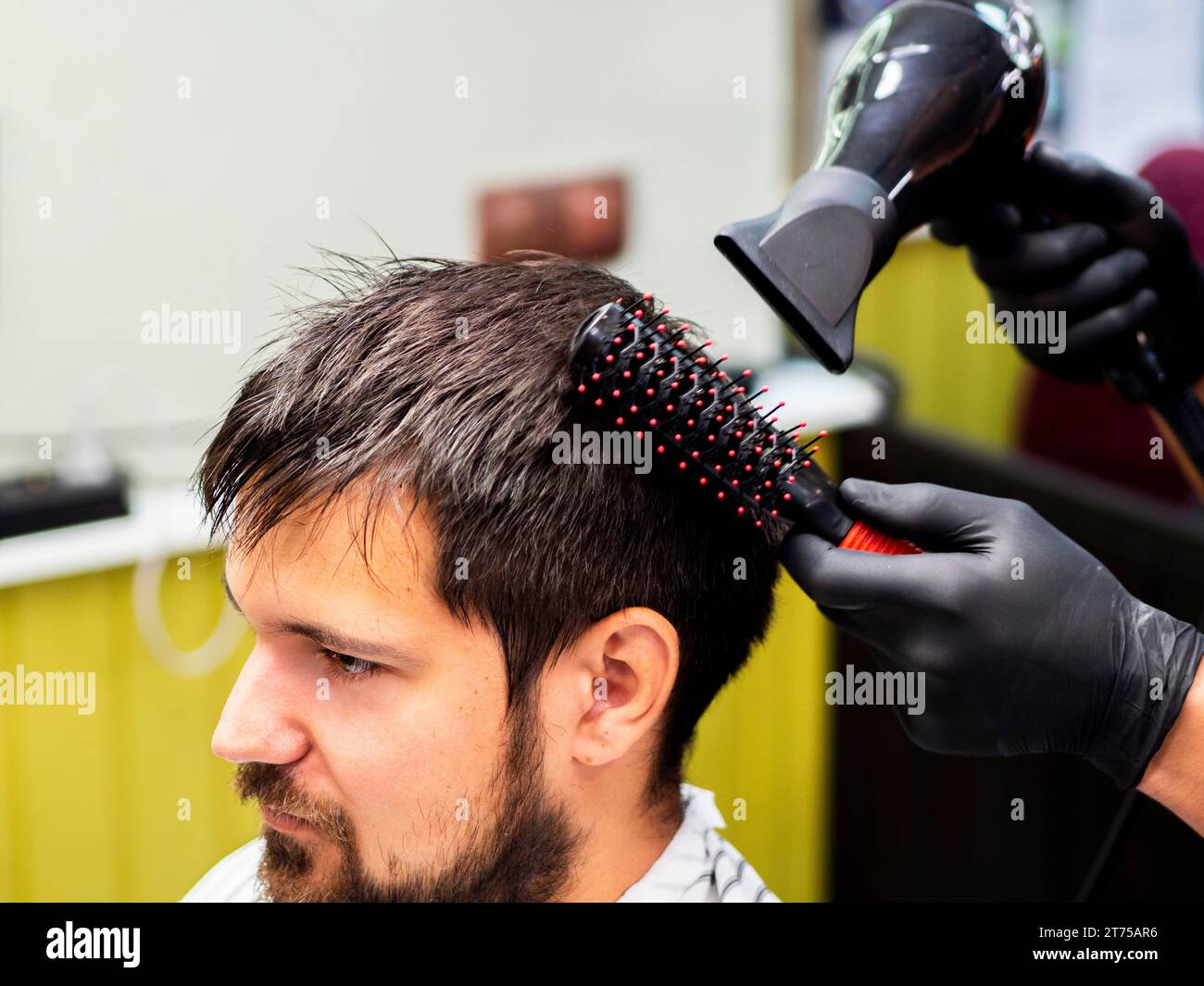 Persona che si fa asciugare i capelli con l'asciugacapelli Foto Stock