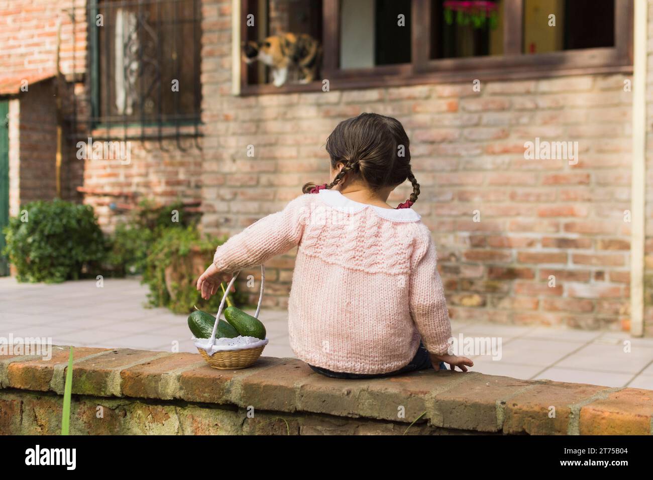 Bambina con vista posteriore seduta a parete con un cestino di frutta di avocado Foto Stock