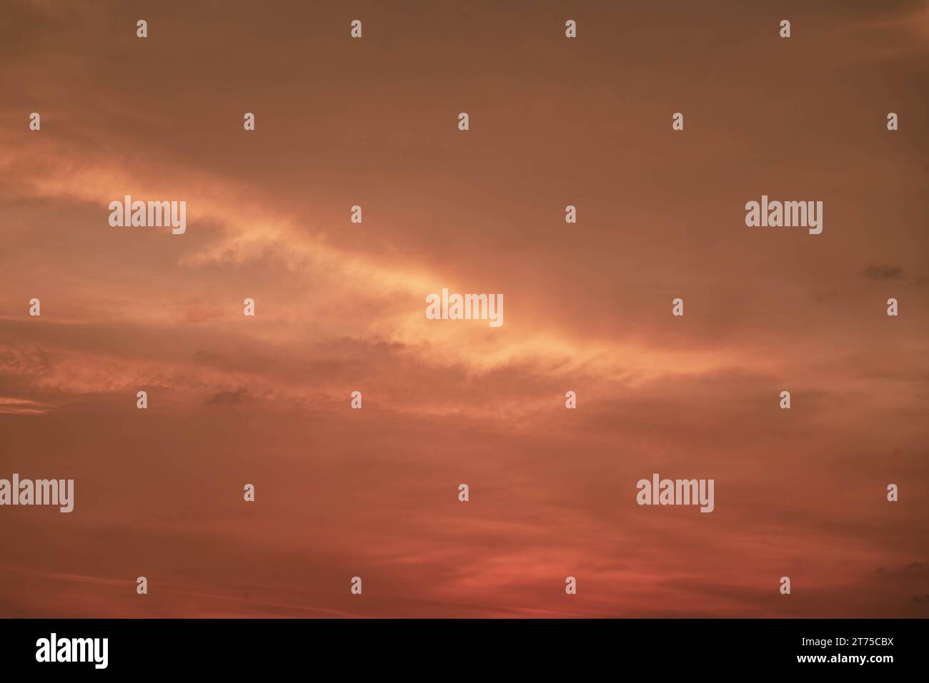 Cielo rosso arancione illuminato da tramonto, Thailandia tropicale. Foto in primo piano. Foto Stock