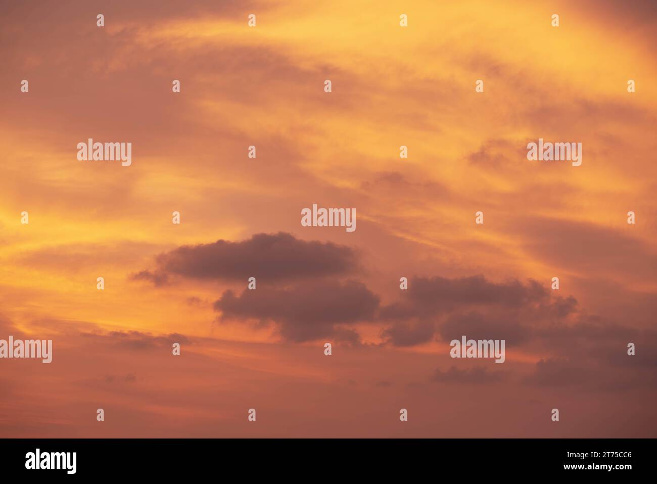 Cielo nuvoloso rosso arancio evidenziato dal tramonto, Thailandia tropicale. Foto in primo piano. Foto Stock