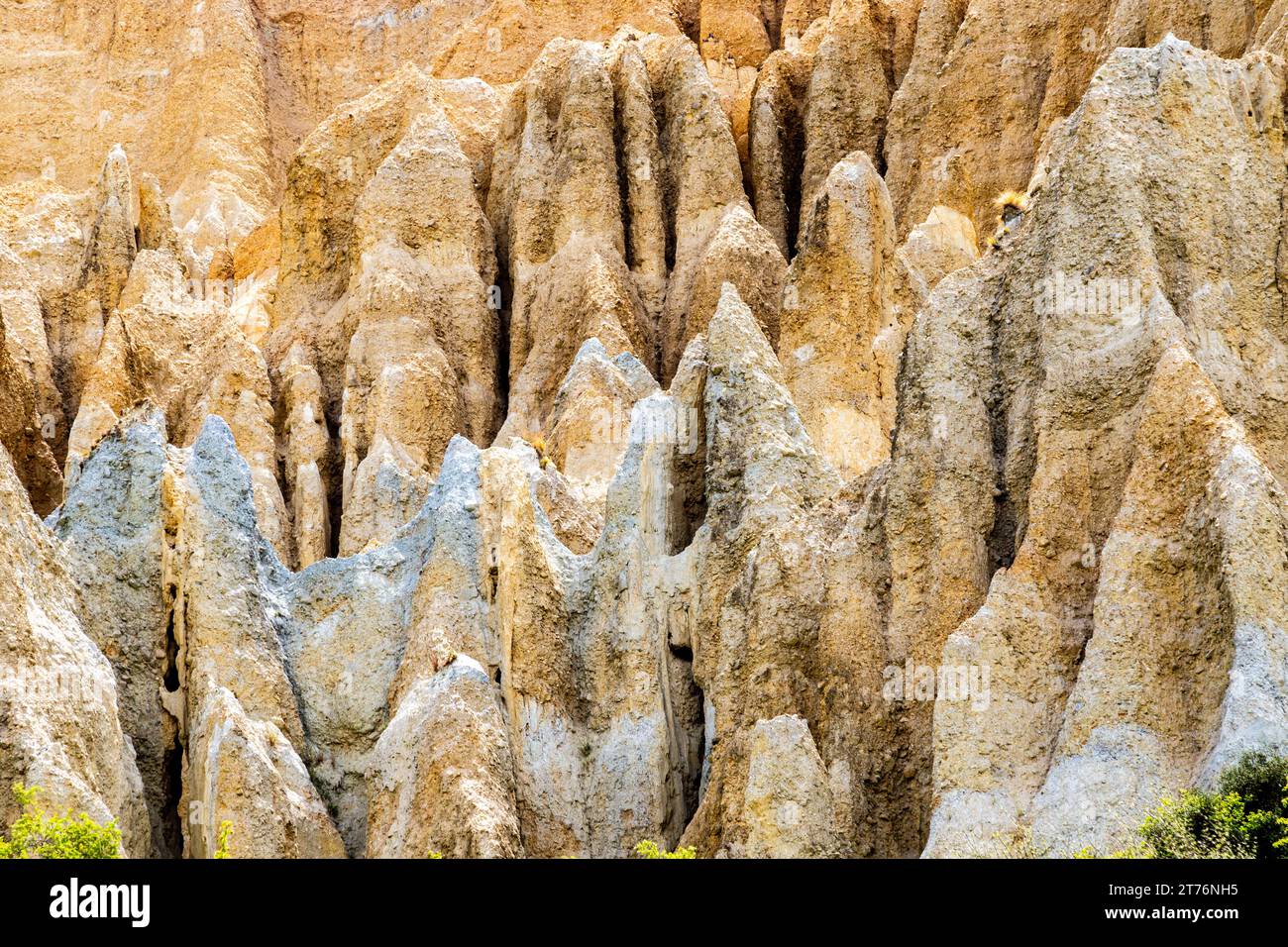 Le Clay Cliffs di Omarama si sono formate nel corso di milioni di anni dall'erosione naturale e dalla sedimentazione. Si trova nell'isola sud della nuova Zelanda nella zona di Waitaki. Foto Stock