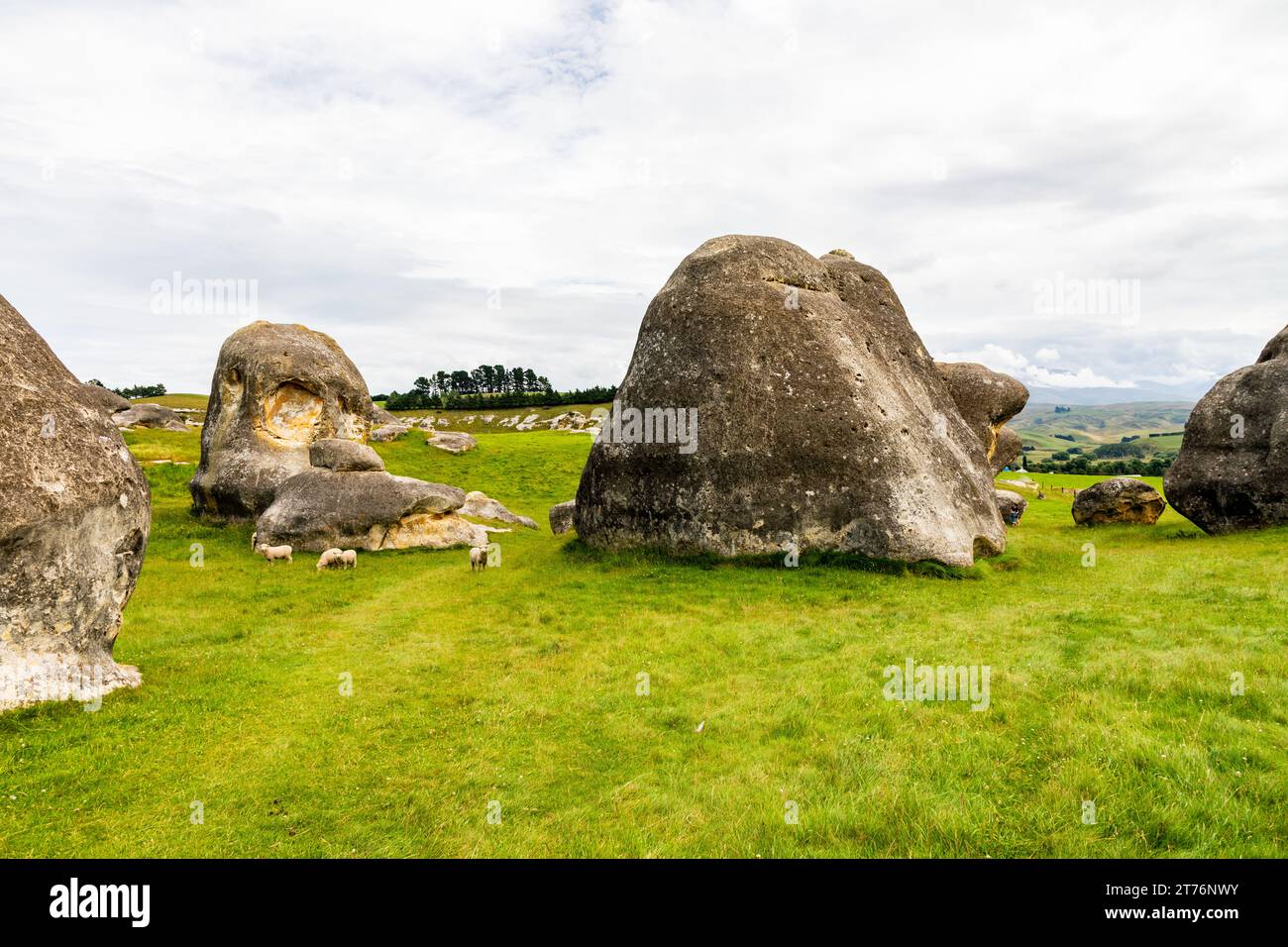 Le Elephant Rocks vicino a Duntroon nel nord di Otago, nuova Zelanda, sono una collezione di grandi rocce calcaree intemprate. L'area più ampia intorno a Duntroon è k Foto Stock