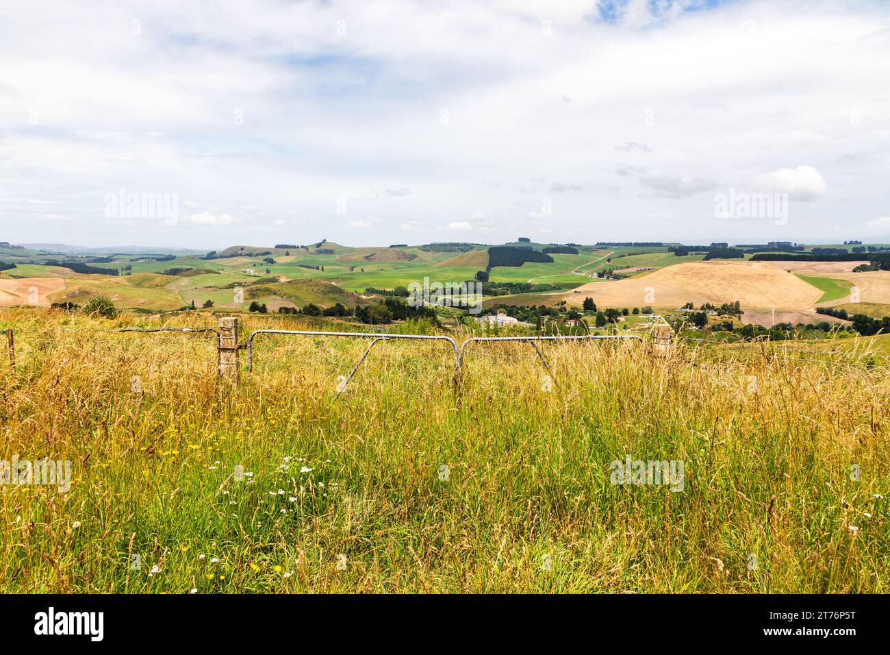 Vista rurale vicino a Duntroon, nuova Zelanda. Terreni agricoli molto lussureggianti e fertili e panorami incantevoli. Foto Stock