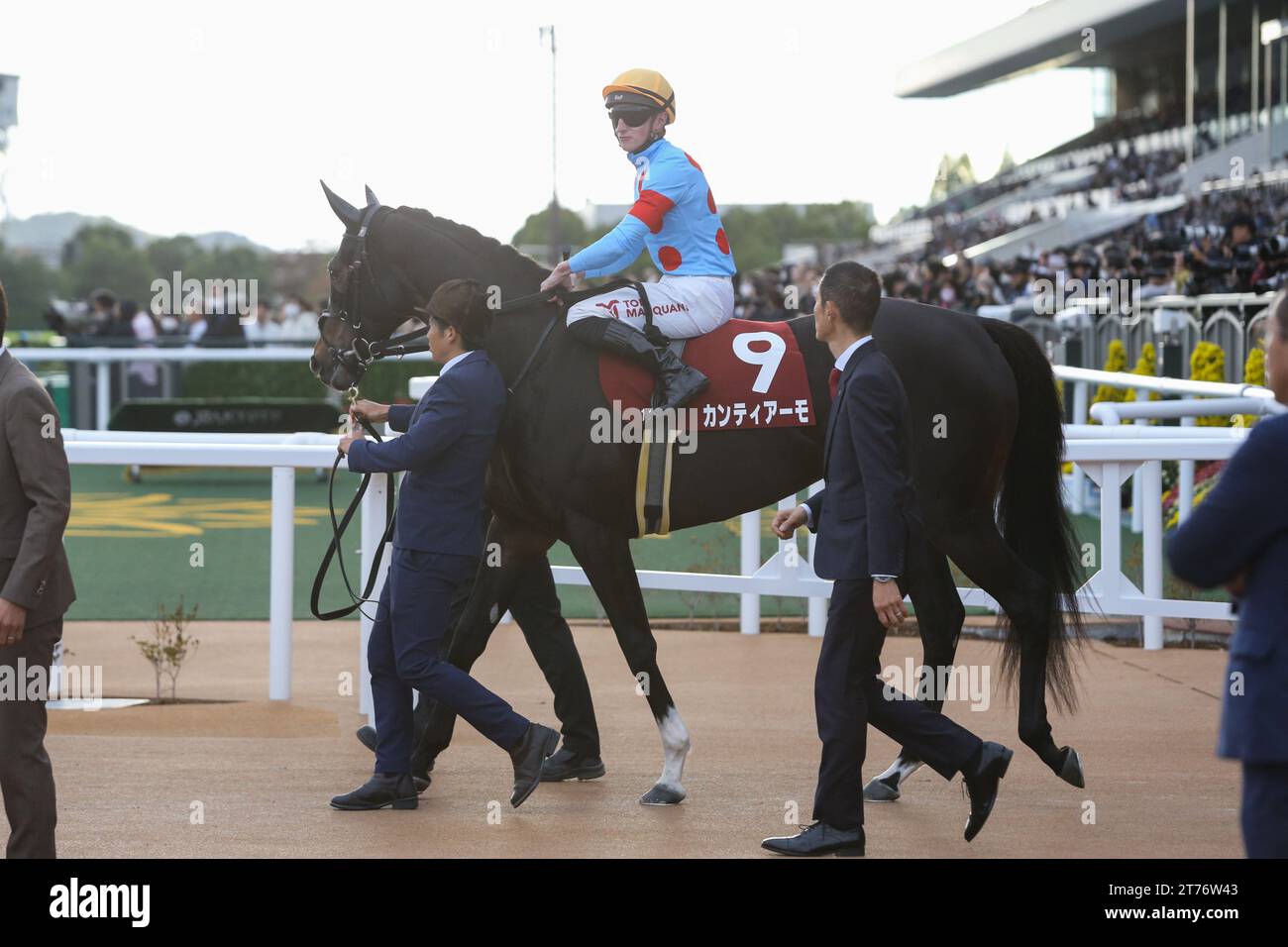 Kyoto, Giappone. 11 novembre 2023. 2023/11/11 KYOTO 11R THE DAILY hai NISAI STAKES Cantiamo/Tom Marquand Jockey Kyoto Racecourse in Kyoto, Giappone, 11 novembre 2023. Crediti: Eiichi Yamane/AFLO/Alamy Live News Foto Stock