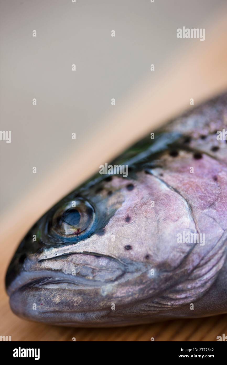 In prossimità di una testa di pesce Foto Stock