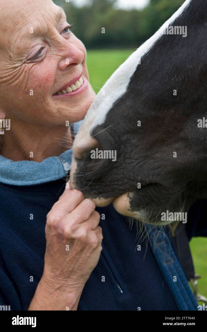 Close up di sorridere donna matura pizzicare un cavallo naso Foto Stock