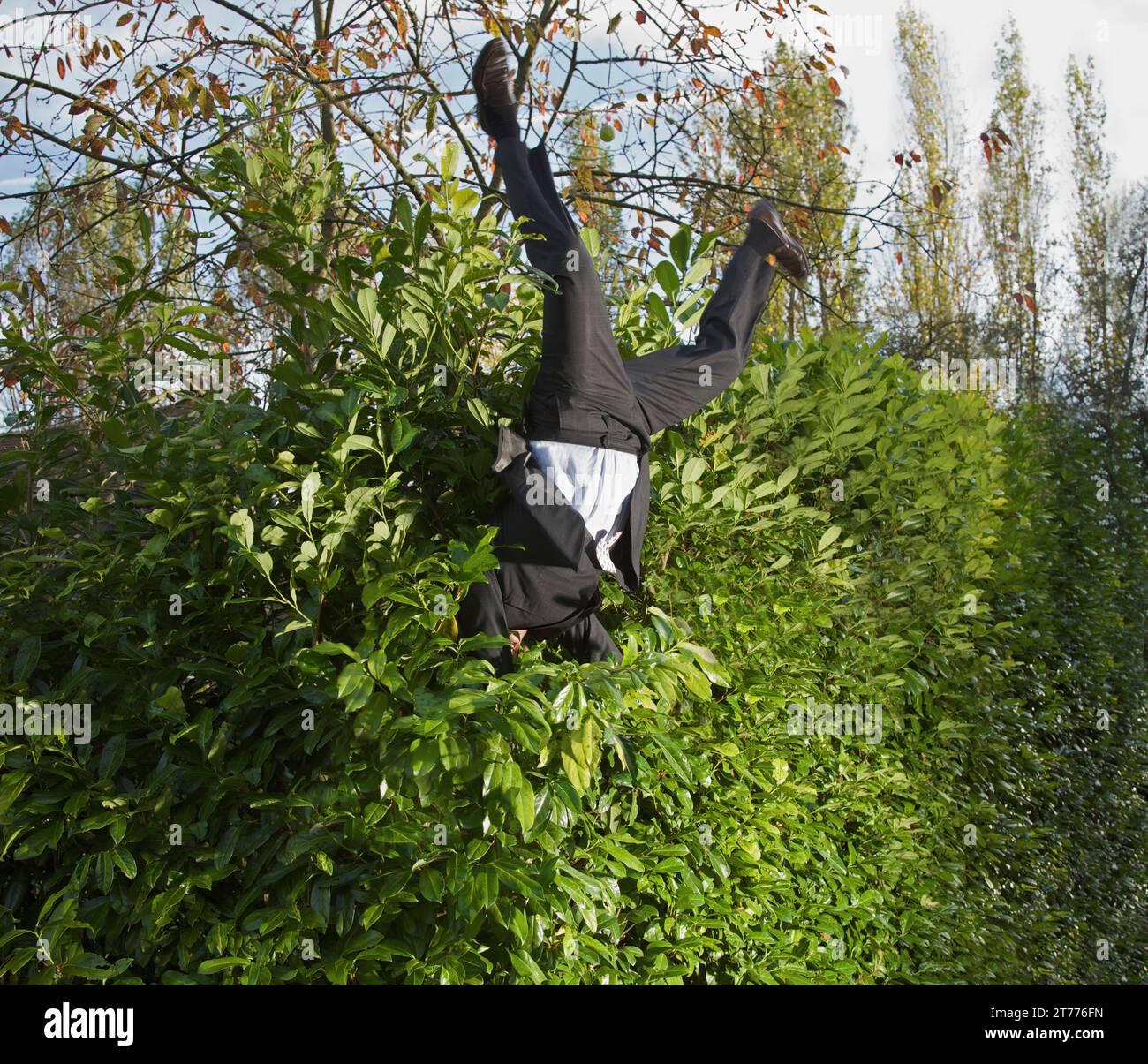 Imprenditore di atterraggio in una siepe capovolto Foto Stock