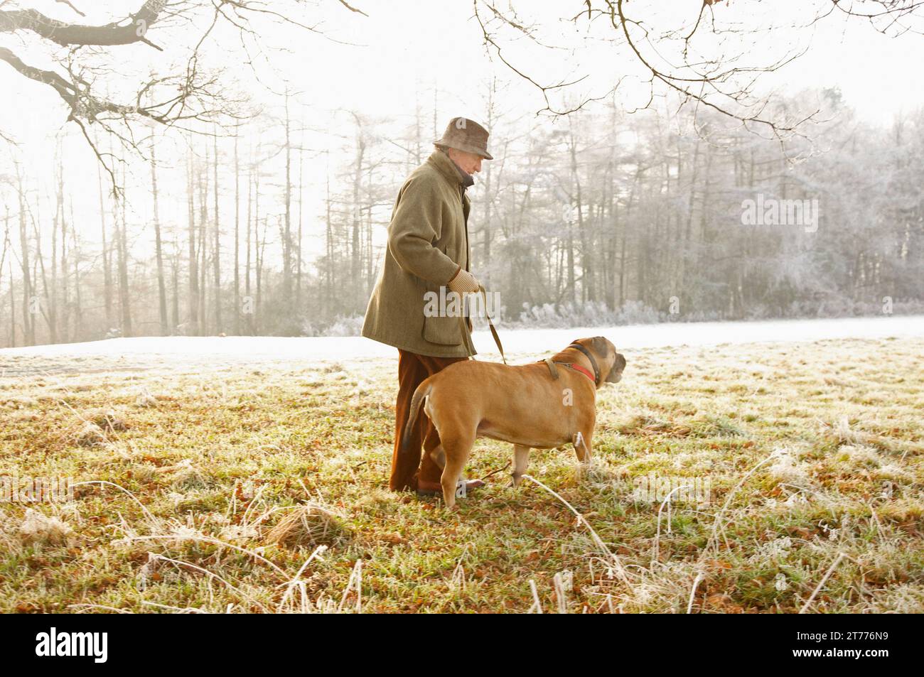 Profilo di un uomo maturo a piedi un cane nel parco Foto Stock