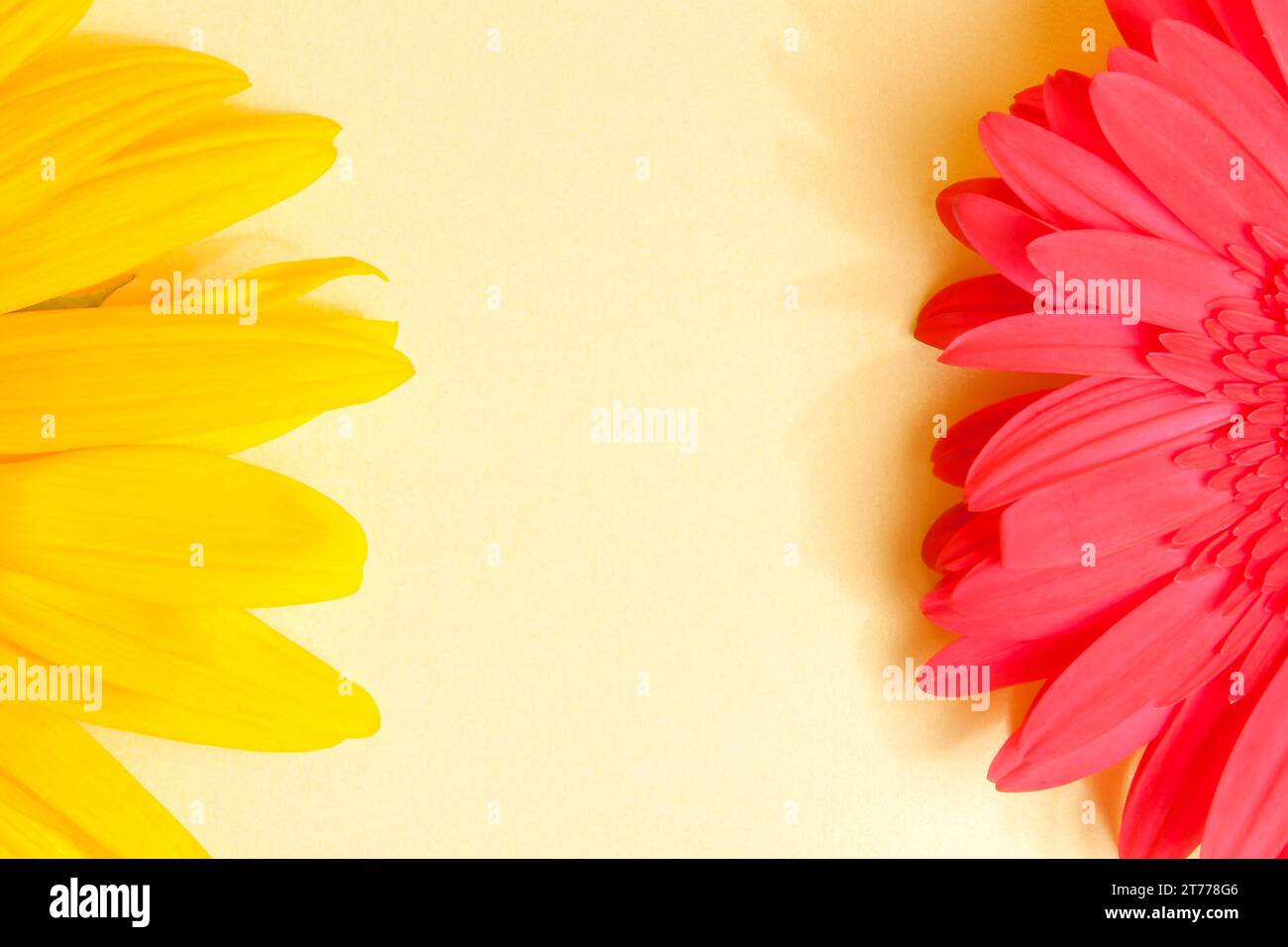 cornice floreale con spazio per il testo su sfondo avorio Foto Stock
