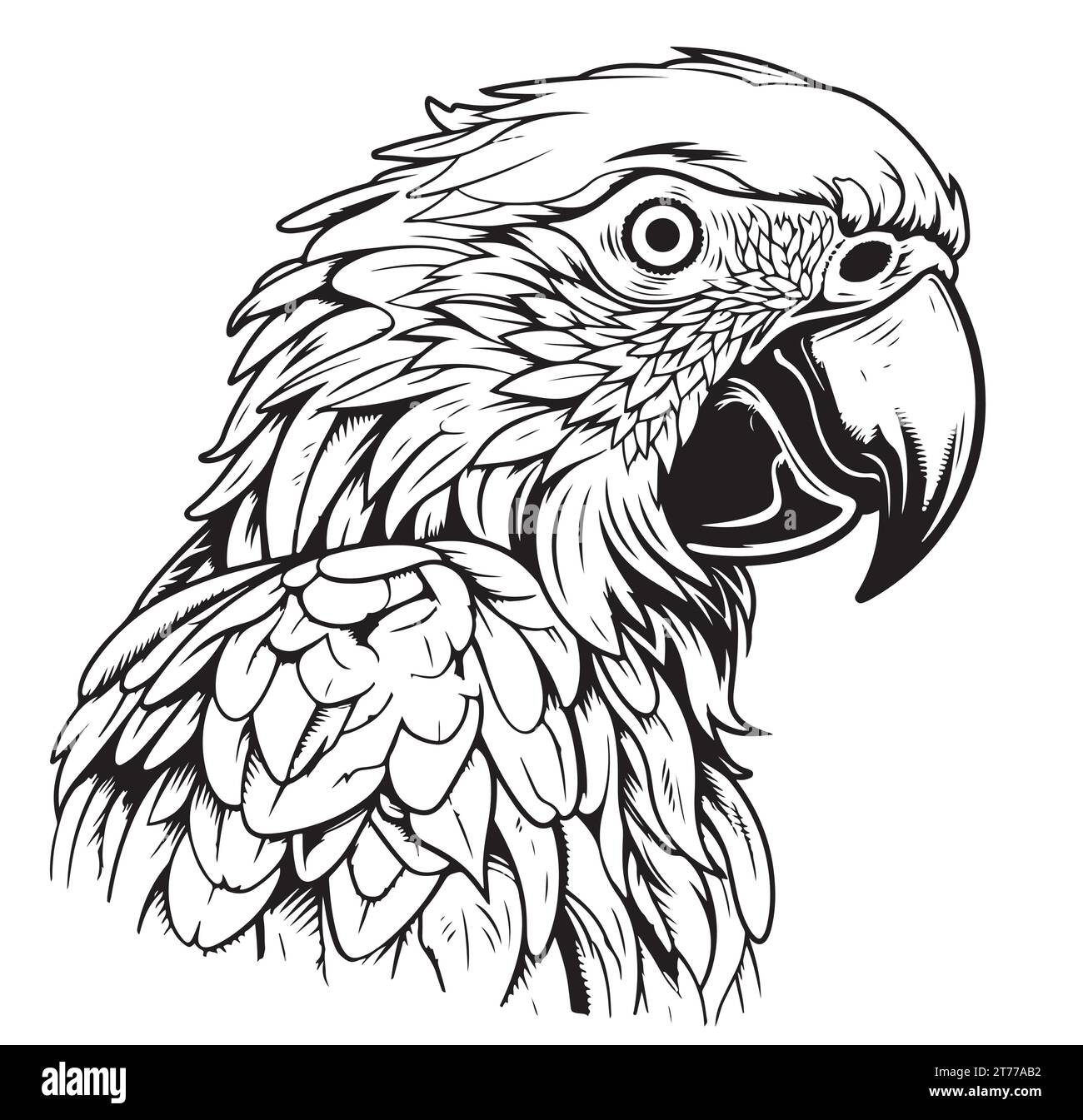 Disegno con incisione vettoriale antico raffigurante la testa di pappagallo isolata su sfondo bianco uccelli esotici Illustrazione Vettoriale