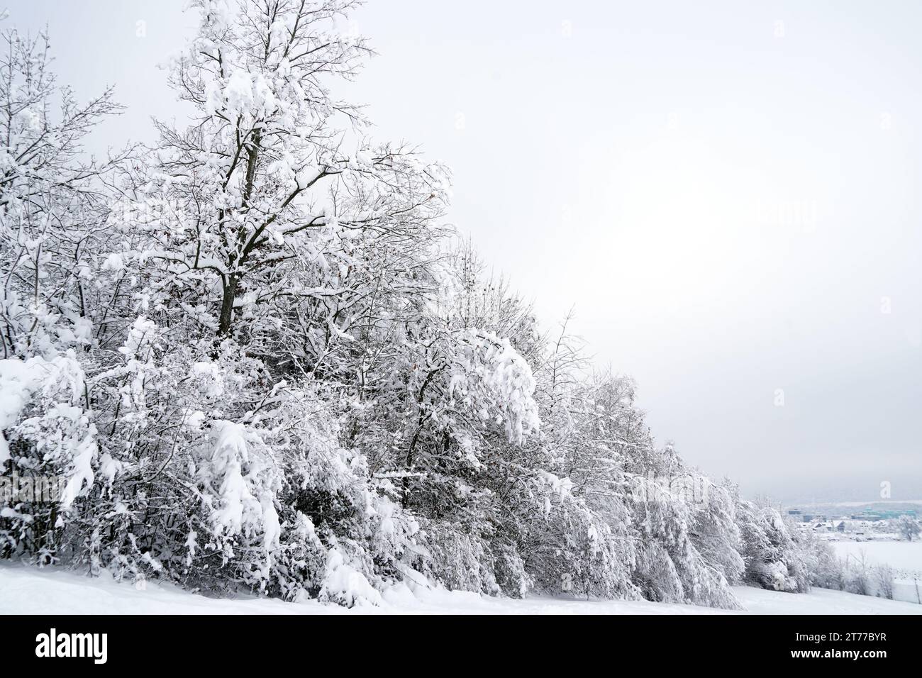 Paesaggio invernale nel villaggio di Urdorf in Svizzera sotto forti nevicate nel gennaio 2021. Foto Stock