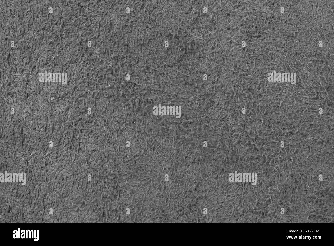 tessuto, tappeto grigio senza cuciture o sfondo moquette Foto Stock