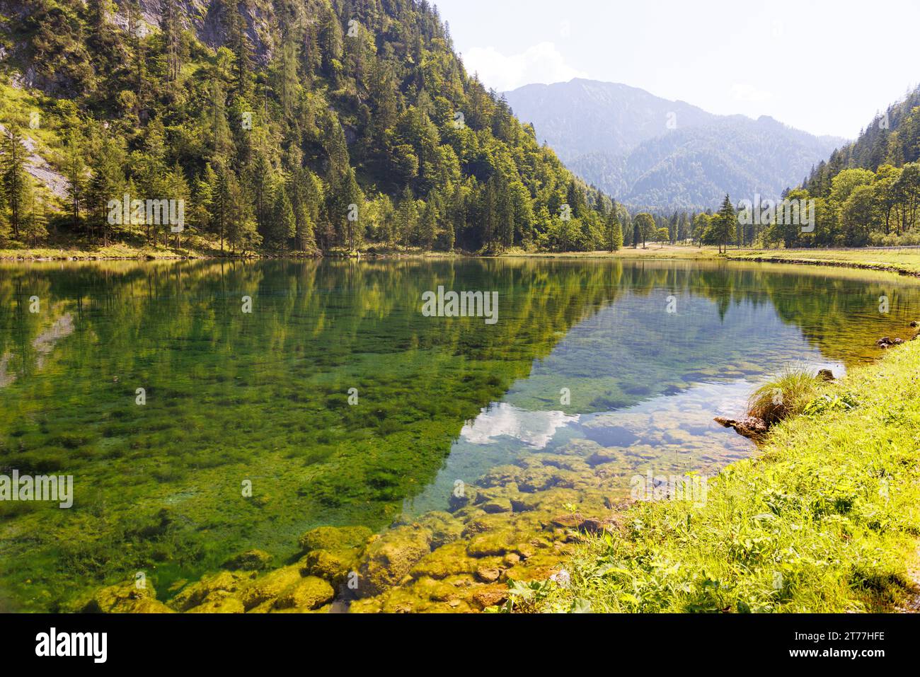 Lago primaverile dalle acque cristalline, sorgente del fiume Traun bianco, Germania, Baviera, Chiemgauer Alpen, Rupolding Foto Stock