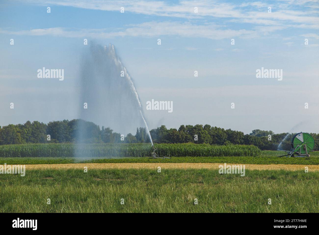 Il campo di patate è ampiamente irrigato con acque sotterranee, Germania, Baviera, Pliening Foto Stock