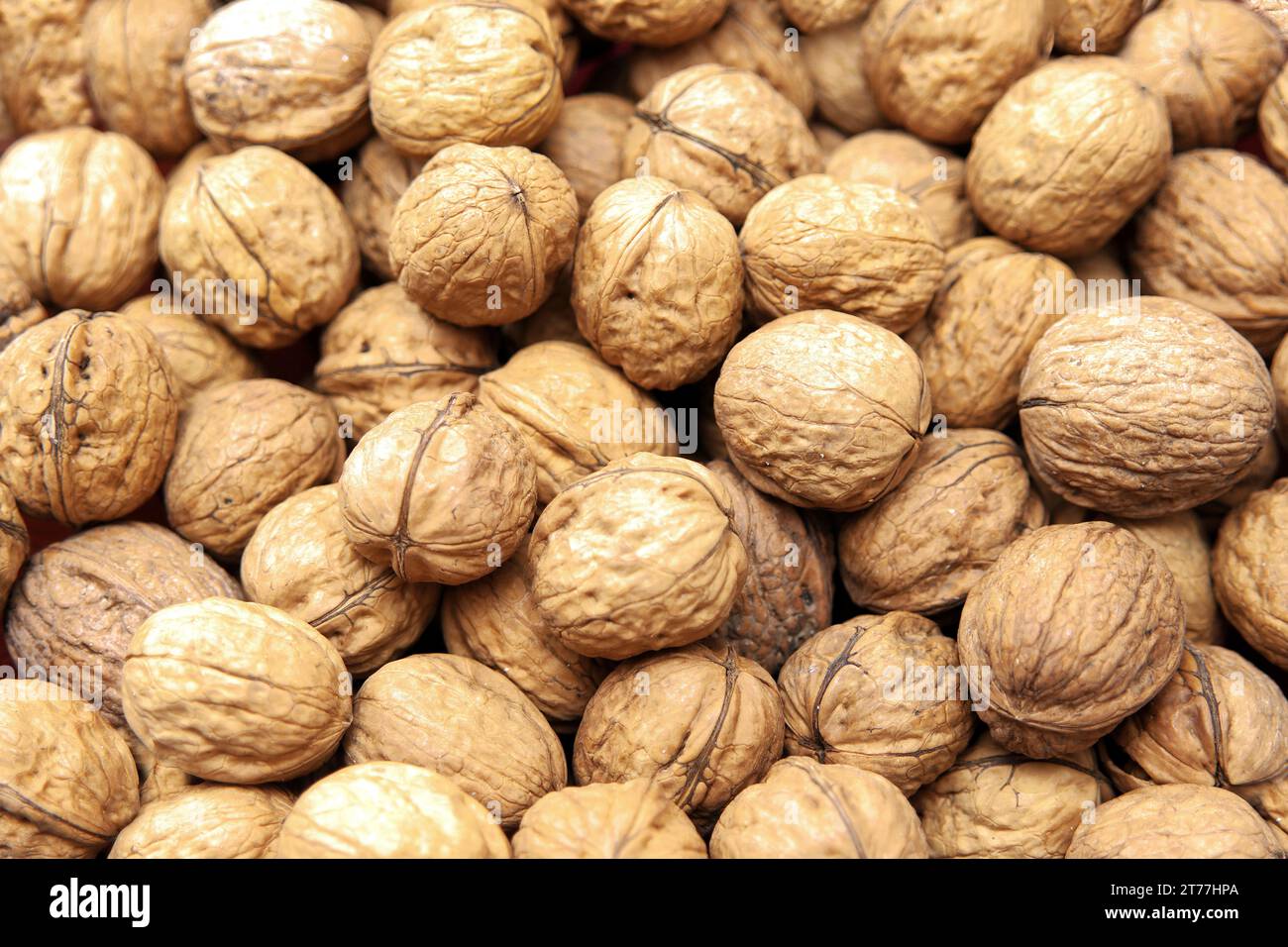 noce (Juglans regia), noci con noce Foto Stock