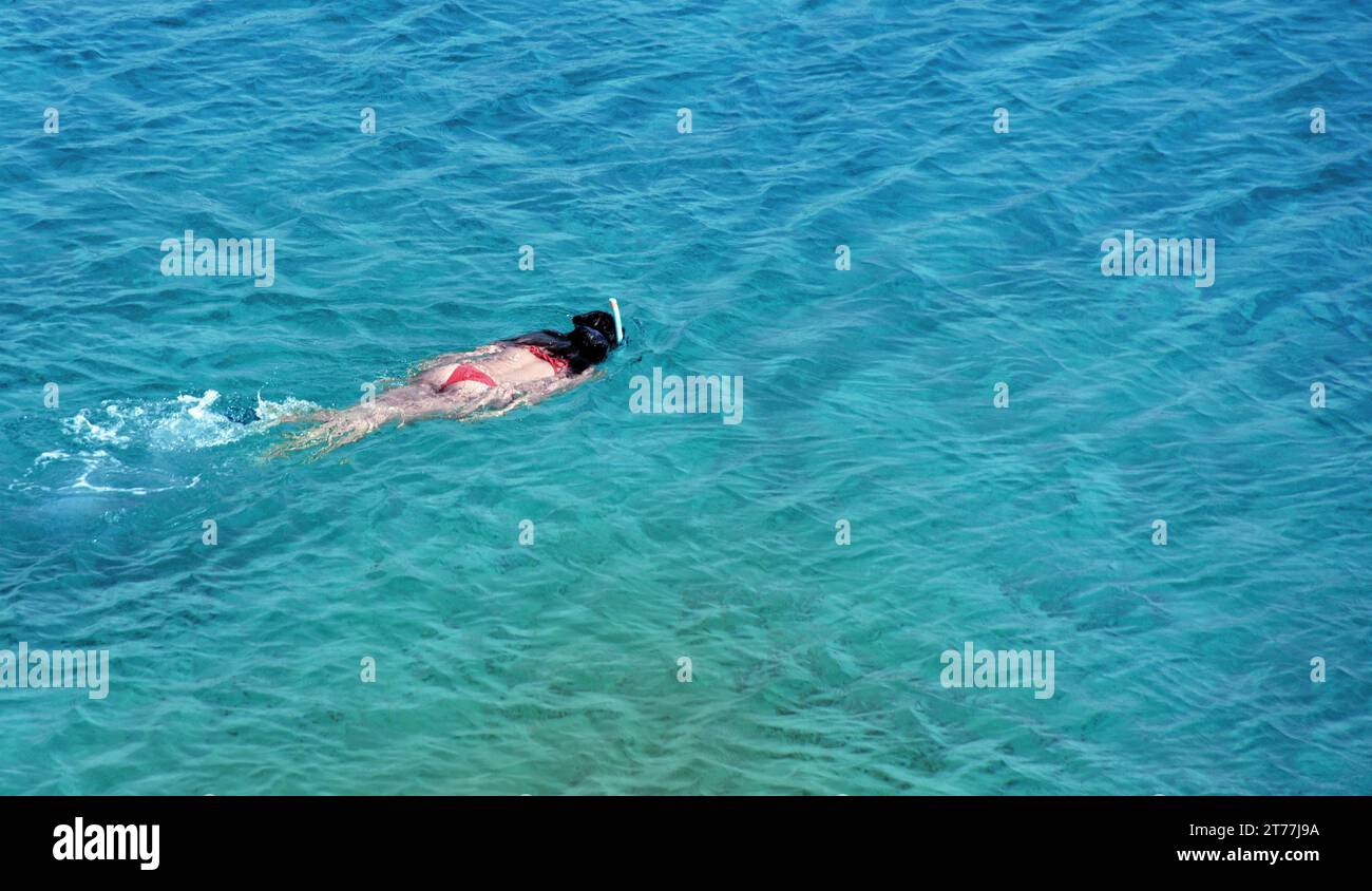 Donna che fa snorkeling, Francia, Corsica, Golfe de Porto Foto Stock
