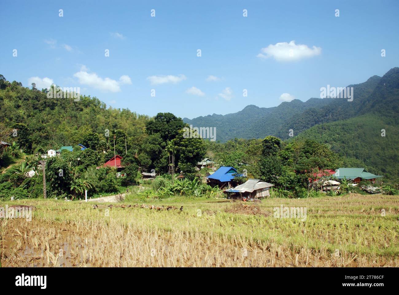 Vita rurale nelle montagne del nord del Vietnam Foto Stock