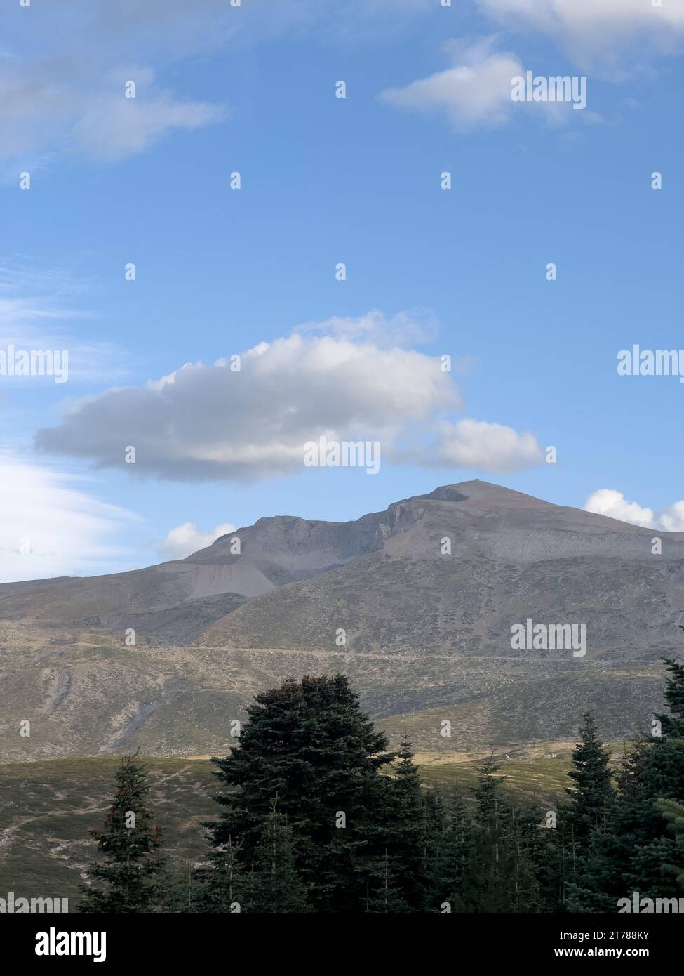 Alberi di pino nel paesaggio di primo piano da Uludag sullo sfondo. Foto di alta qualità Foto Stock