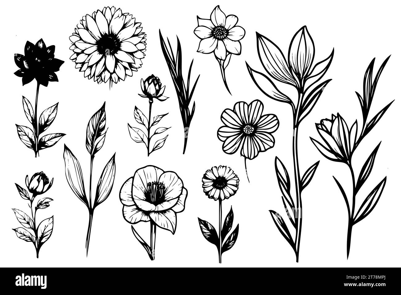 collezione botanica vettoriale di fiori e foglie da disegno floreale, illustrazione botanica artistica monocromatica. Elementi floreali isolati Illustrazione Vettoriale