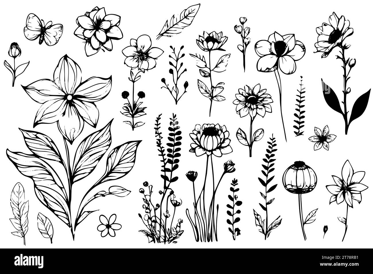 collezione botanica vettoriale di elementi floreali ed erboristici. piante vettoriali isolate, rami e fiori nello schizzo a inchiostro. set di disegni botanici disegnati a mano per carte, inviti, logo Illustrazione Vettoriale